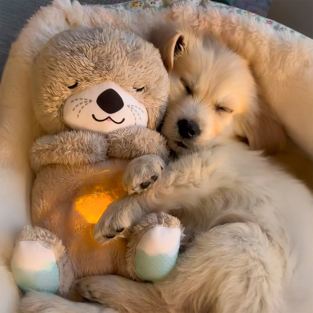 Cute Breathing Teddy Bear With Melodies