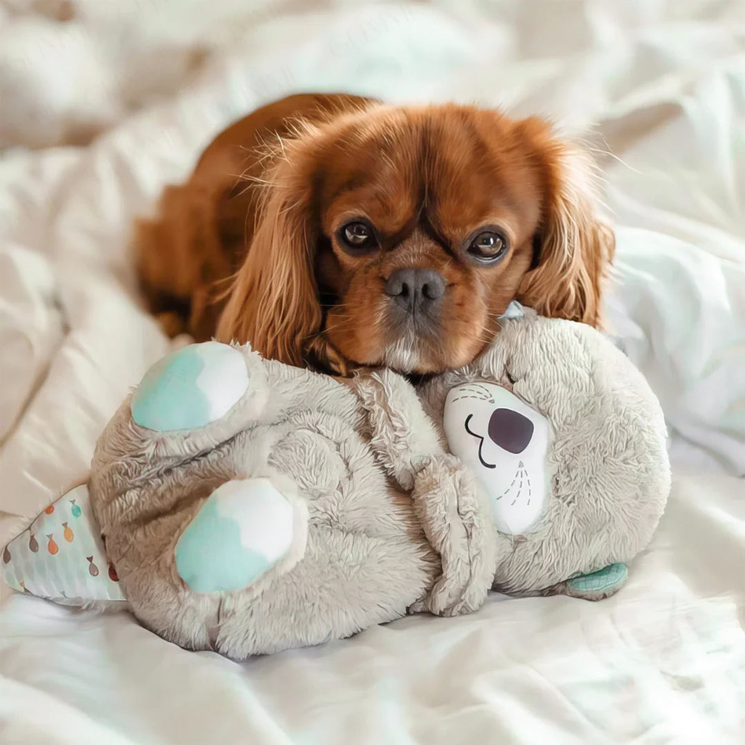 Cute Breathing Teddy Bear With Melodies