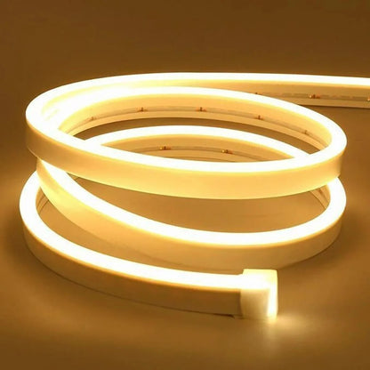 IP65 Waterproof Flexible Silicone Rope Light (5 Meter)