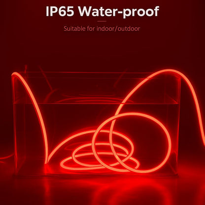 IP65 Waterproof Flexible Silicone Rope Light (5 Meter)