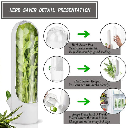 Fresh Herb Saver Container Refrigerator. (Set of 2)